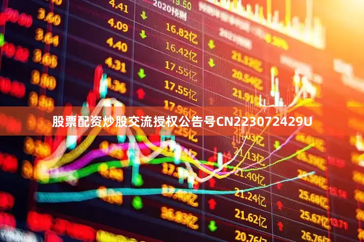 股票配资炒股交流授权公告号CN223072429U