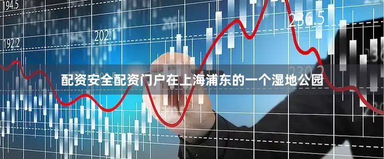 配资安全配资门户在上海浦东的一个湿地公园