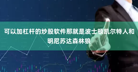 可以加杠杆的炒股软件那就是波士顿凯尔特人和明尼苏达森林狼
