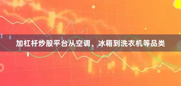 加杠杆炒股平台从空调、冰箱到洗衣机等品类