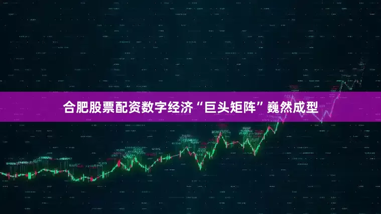 合肥股票配资数字经济“巨头矩阵”巍然成型