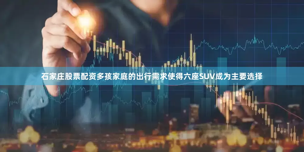 石家庄股票配资多孩家庭的出行需求使得六座SUV成为主要选择